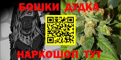 прущие грибы Славгород