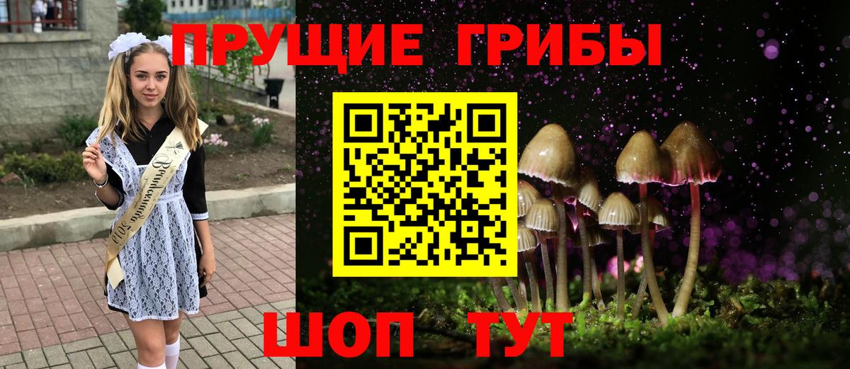Псилоцибиновые грибы Psilocybine cubensis  Вход с VPN  Галлюциногенные грибы GOLDEN TEACHER  Курчатов 